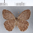  (Scriptor - CFC03792)  @14 [ ] Copyright (2018) Christer Fahraeus Center For Collection-Based Research