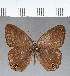  ( - CFC03820)  @11 [ ] Copyright (2018) Christer Fahraeus Center For Collection-Based Research