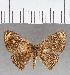  ( - CFC38206)  @11 [ ] copyright (2021) Center For Collection-Based Research Center For Collection-Based Research