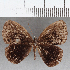  ( - CFC38285)  @11 [ ] copyright (2021) Center For Collection-Based Research Center For Collection-Based Research