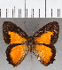  ( - CFC38317)  @11 [ ] copyright (2021) Center For Collection-Based Research Center For Collection-Based Research