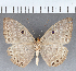  ( - CFC38434)  @11 [ ] copyright (2021) Center For Collection-Based Research Center For Collection-Based Research