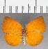  ( - CFC38628)  @11 [ ] copyright (2021) Center For Collection-Based Research Center For Collection-Based Research