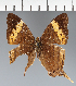  ( - CFC38766)  @11 [ ] copyright (2023) Center For Collection-Based Research Center For Collection-Based Research