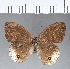  ( - CFC03881)  @11 [ ] Copyright (2018) Christer Fahraeus Center For Collection-Based Research