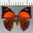  ( - CFC38984)  @11 [ ] copyright (2023) Center For Collection-Based Research Center For Collection-Based Research
