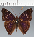  ( - CFC38985)  @11 [ ] copyright (2023) Center For Collection-Based Research Center For Collection-Based Research