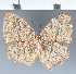  ( - CFC38987)  @11 [ ] copyright (2023) Center For Collection-Based Research Center For Collection-Based Research