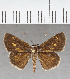  ( - CFC39046)  @11 [ ] copyright (2021) Center For Collection-Based Research Center For Collection-Based Research