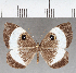  ( - CFC39252)  @11 [ ] copyright (2021) Center For Collection-Based Research Center For Collection-Based Research