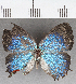  ( - CFC39269)  @11 [ ] copyright (2021) Center For Collection-Based Research Center For Collection-Based Research