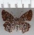  ( - CFC39287)  @11 [ ] copyright (2021) Center For Collection-Based Research Center For Collection-Based Research