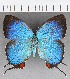  ( - CFC39346)  @11 [ ] copyright (2021) Center For Collection-Based Research Center For Collection-Based Research