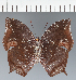  ( - CFC39362)  @11 [ ] copyright (2023) Center For Collection-Based Research Center For Collection-Based Research