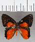  ( - CFC39464)  @11 [ ] copyright (2021) Center For Collection-Based Research Center For Collection-Based Research