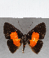  ( - CFC39533)  @11 [ ] copyright (2021) Center For Collection-Based Research Center For Collection-Based Research