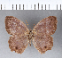  ( - CFC03965)  @11 [ ] Copyright (2018) Christer Fahraeus Center For Collection-Based Research