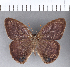  ( - CFC03970)  @11 [ ] Copyright (2018) Christer Fahraeus Center For Collection-Based Research