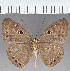  ( - CFC39891)  @11 [ ] copyright (2021) Center For Collection-Based Research Center For Collection-Based Research