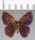  ( - CFC39985)  @11 [ ] copyright (2022) Center For Collection-Based Research Center For Collection-Based Research