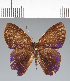  ( - CFC39986)  @11 [ ] copyright (2022) Center For Collection-Based Research Center For Collection-Based Research