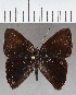  ( - CFC39988)  @11 [ ] copyright (2021) Center For Collection-Based Research Center For Collection-Based Research
