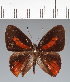  ( - CFC39993)  @11 [ ] copyright (2022) Center For Collection-Based Research Center For Collection-Based Research