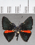  ( - CFC40016)  @11 [ ] copyright (2021) Center For Collection-Based Research Center For Collection-Based Research