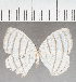  ( - CFC40040)  @11 [ ] copyright (2021) Center For Collection-Based Research Center For Collection-Based Research
