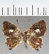  ( - CFC40126)  @11 [ ] copyright (2021) Center For Collection-Based Research Center For Collection-Based Research