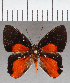  ( - CFC40233)  @11 [ ] copyright (2021) Center For Collection-Based Research Center For Collection-Based Research