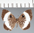 ( - CFC40263)  @11 [ ] copyright (2022) Center For Collection-Based Research Center For Collection-Based Research