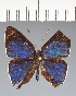  ( - CFC40291)  @11 [ ] copyright (2022) Center For Collection-Based Research Center For Collection-Based Research