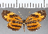  ( - CFC04031)  @11 [ ] Copyright (2019) Christer Fahraeus Center For Collection-Based Research