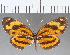  ( - CFC04032)  @11 [ ] Copyright (2019) Christer Fahraeus Center For Collection-Based Research