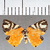 ( - CFC40322)  @12 [ ] copyright (2021) Center For Collection-Based Research Center For Collection-Based Research