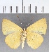  ( - CFC40413)  @11 [ ] copyright (2021) Center For Collection-Based Research Center For Collection-Based Research
