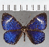  ( - CFC40446)  @11 [ ] copyright (2021) Center For Collection-Based Research Center For Collection-Based Research