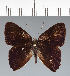  ( - CFC40505)  @11 [ ] copyright (2022) Center For Collection-Based Research Center For Collection-Based Research