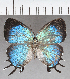 ( - CFC40569)  @11 [ ] copyright (2021) Center For Collection-Based Research Center For Collection-Based Research