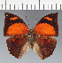  ( - CFC40663)  @11 [ ] copyright (2023) Center For Collection-Based Research Center For Collection-Based Research
