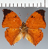  ( - CFC40678)  @11 [ ] copyright (2023) Center For Collection-Based Research Center For Collection-Based Research
