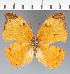  ( - CFC40695)  @11 [ ] copyright (2023) Center For Collection-Based Research Center For Collection-Based Research
