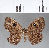  ( - CFC04122)  @11 [ ] Copyright (2018) Christer Fahraeus Center For Collection-Based Research