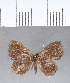  ( - CFC04165)  @11 [ ] Copyright (2018) Christer Fahraeus Center For Collection-Based Research
