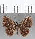  ( - CFC04169)  @11 [ ] Copyright (2019) Christer Fahraeus Center For Collection-Based Research