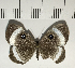  ( - CFC04194)  @11 [ ] Copyright (2018) Christer Fahraeus Center For Collection-Based Research