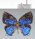  ( - CFC42015)  @11 [ ] copyright (2022) Center For Collection-Based Research Center For Collection-Based Research