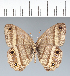  ( - CFC42076)  @11 [ ] copyright (2022) Center For Collection-Based Research Center For Collection-Based Research