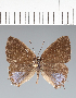  ( - CFC42189)  @11 [ ] copyright (2022) Center For Collection-Based Research Center For Collection-Based Research